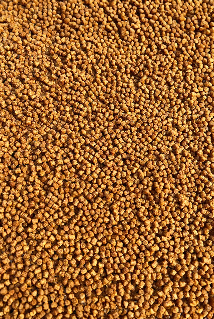Micro-Pellet-2mm-Orzech-Tygrysi-Feeder-Bait_[2320]_1200